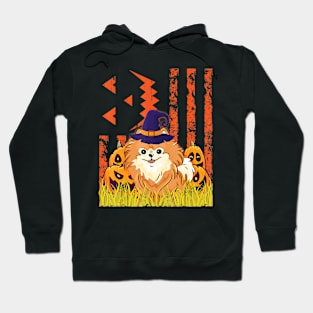 Pomeranian Dog Witch Dancing Pumpkins Halloween US Flag Hoodie